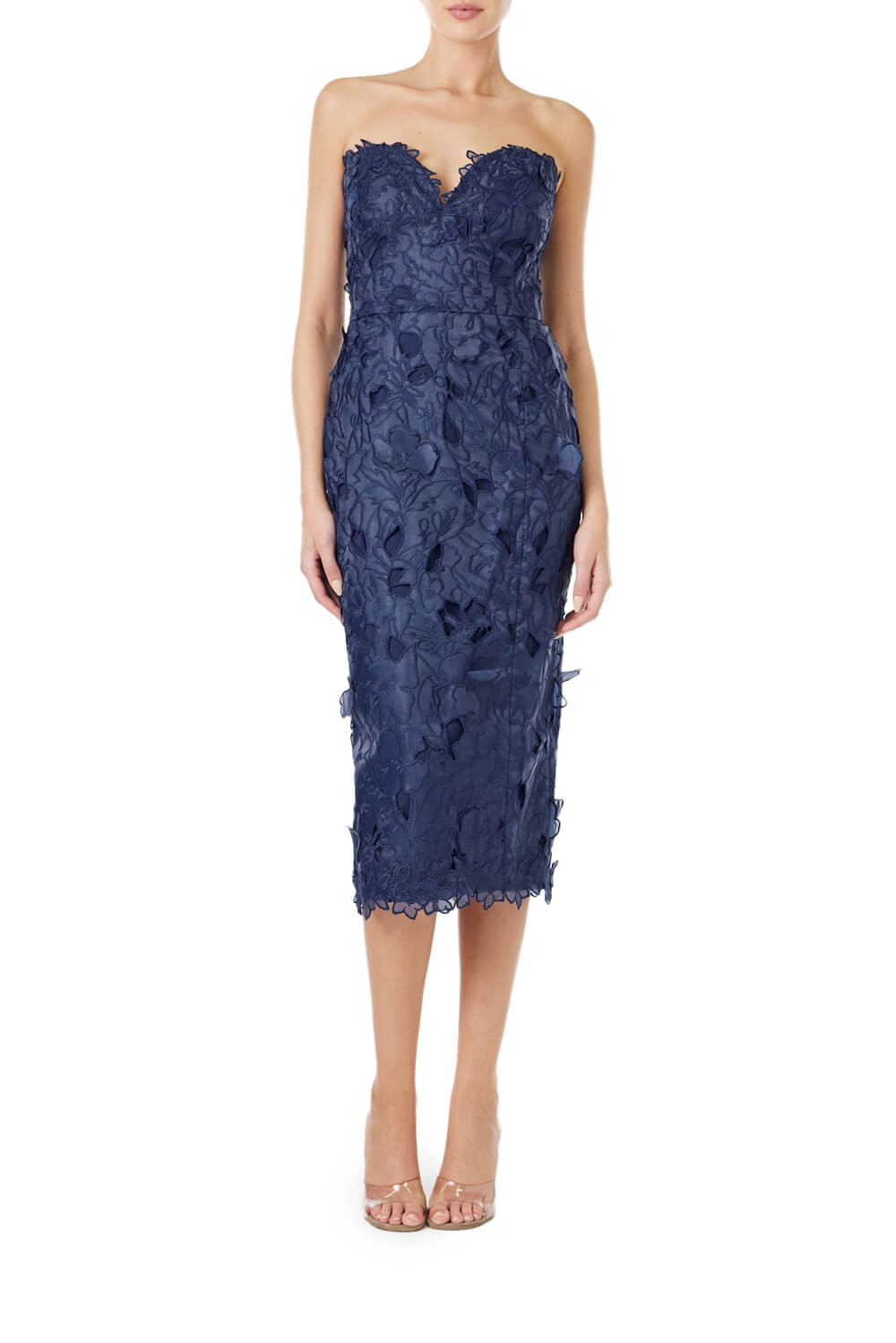 Organza Lace Midi Dress